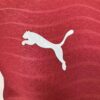 047faa6b Portugal 2026 Home Authentic Jersey